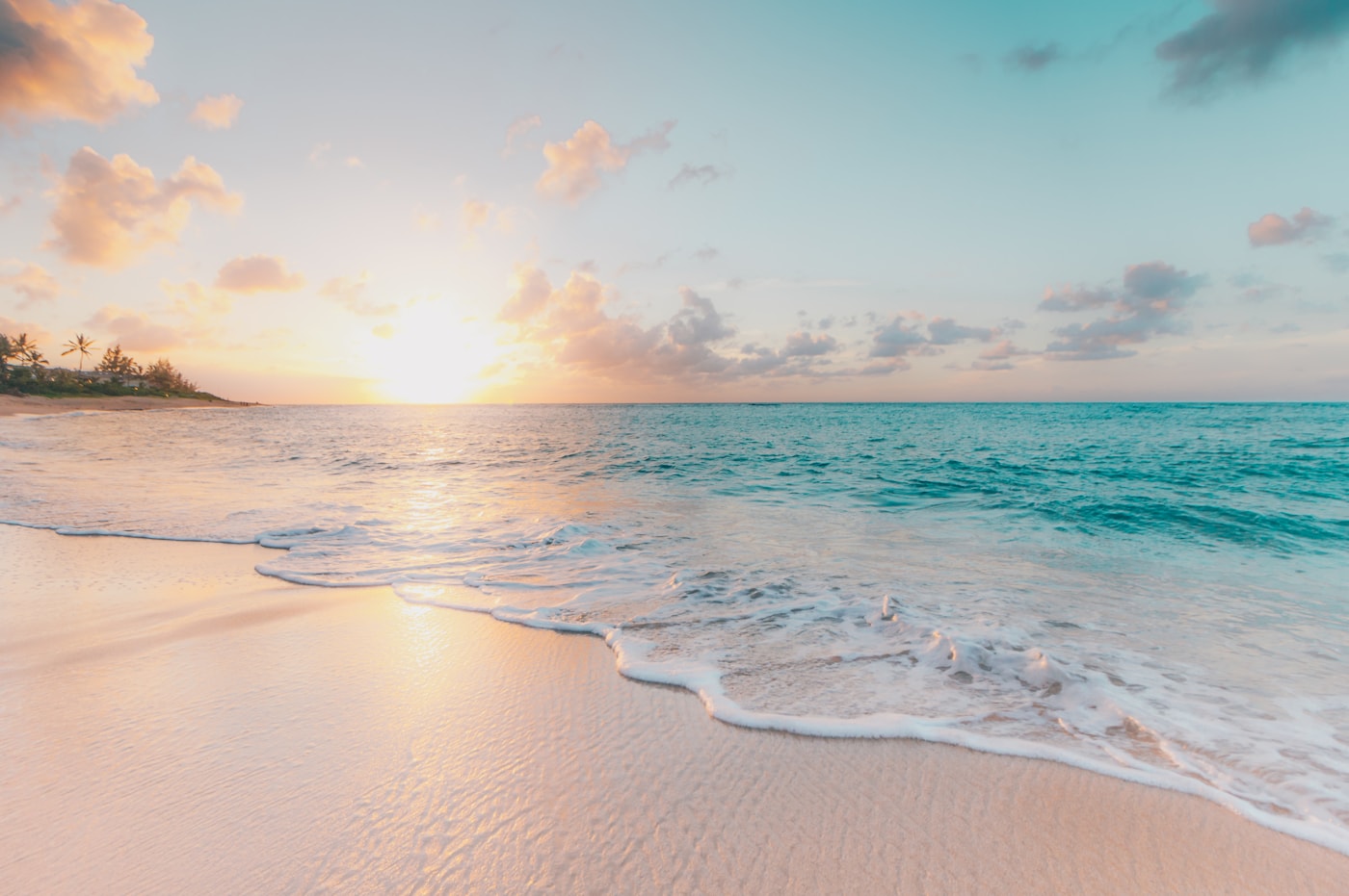 Beach coastline travel website demo preview